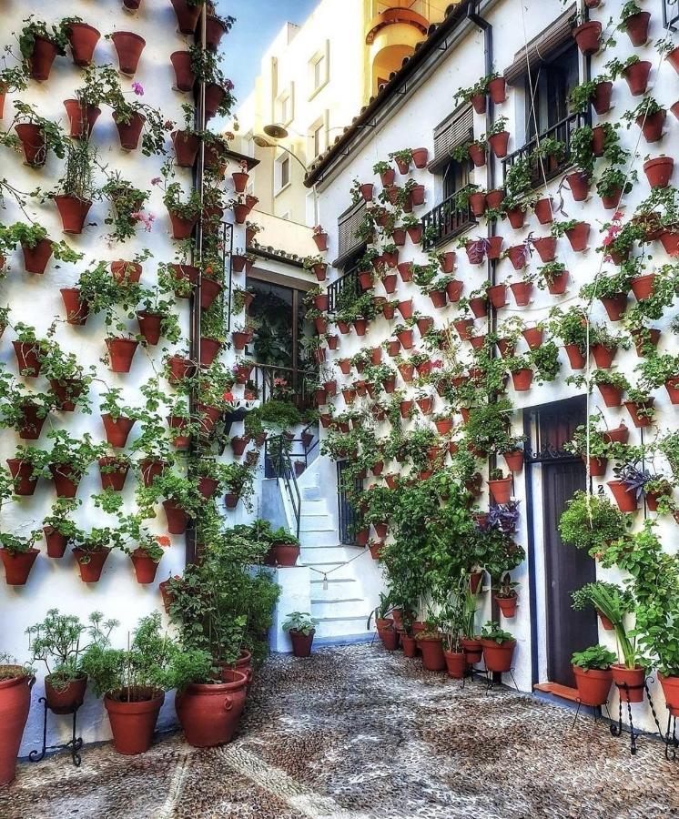 Apartamentos El Alcazar Viejo Кордова Екстер'єр фото